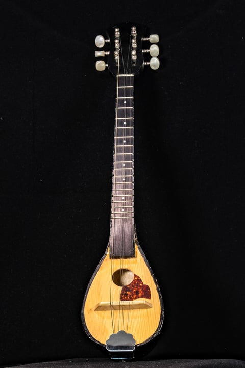 Μπαγλαμάς σε μαύρο φόντο