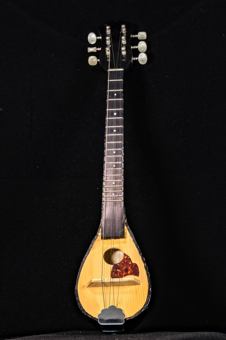 Μπαγλαμάς σε μαύρο φόντο