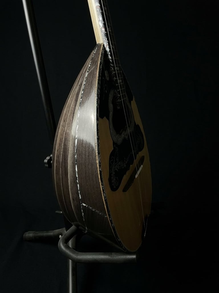 A mandolin instrument with a wooden body and metal strings displayed against a black background