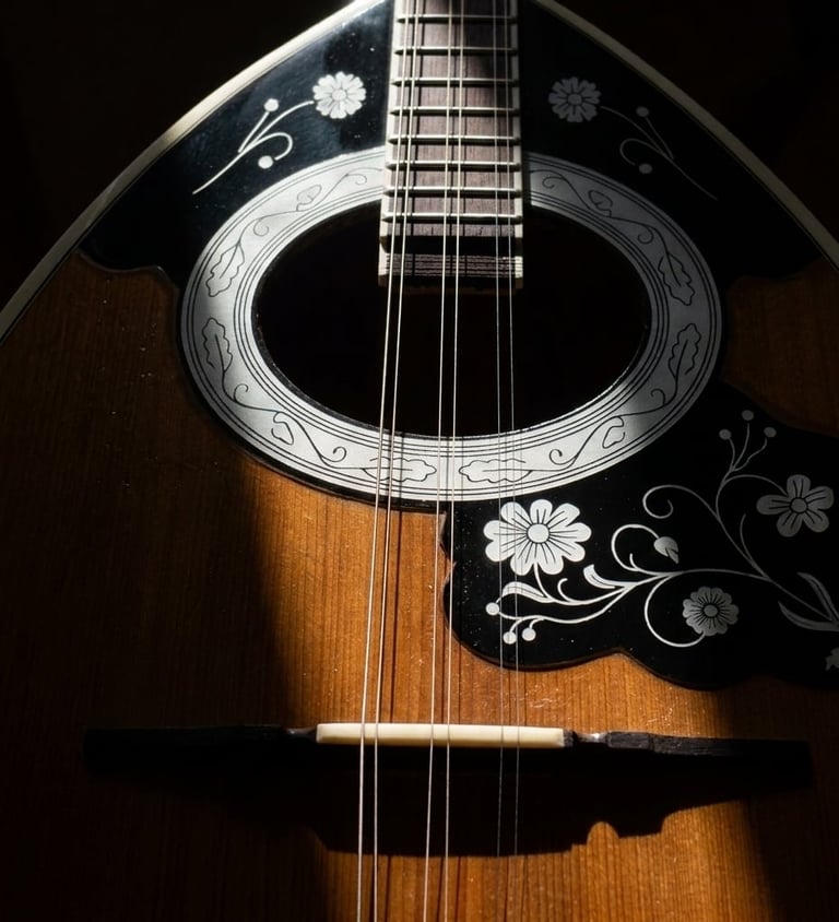 Ornate mandolin with decorative inlaid details on black pickguard and wooden body, viewed from above against dark background