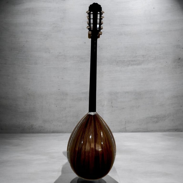Teardrop-shaped stringed instrument with dark wood body and long black neck against gray background