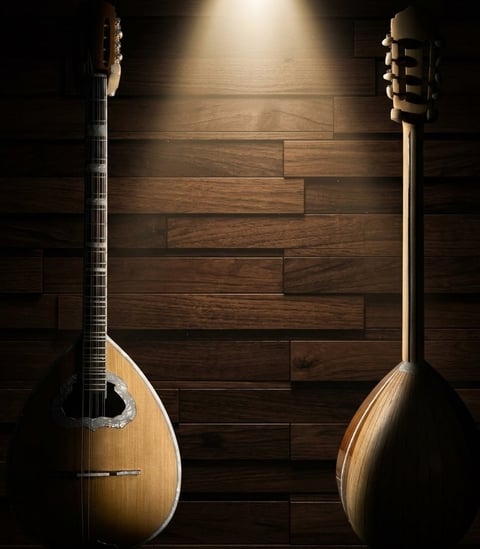 Front and back view of an acoustic mandolin with wooden body against a dark wood panel wall with spotlight lighting