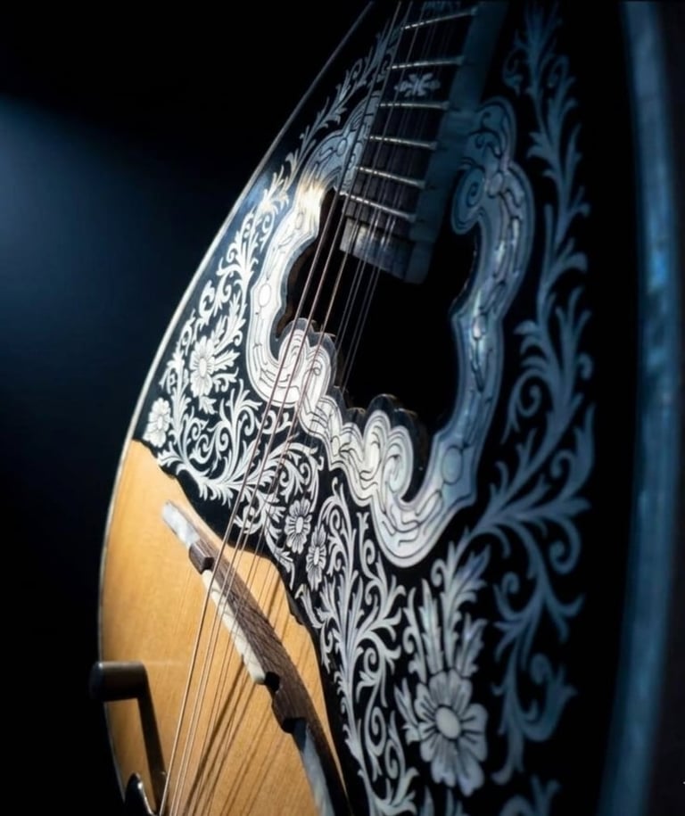 Ornate mandolin with intricate black and white floral inlay design on wooden body against dark background