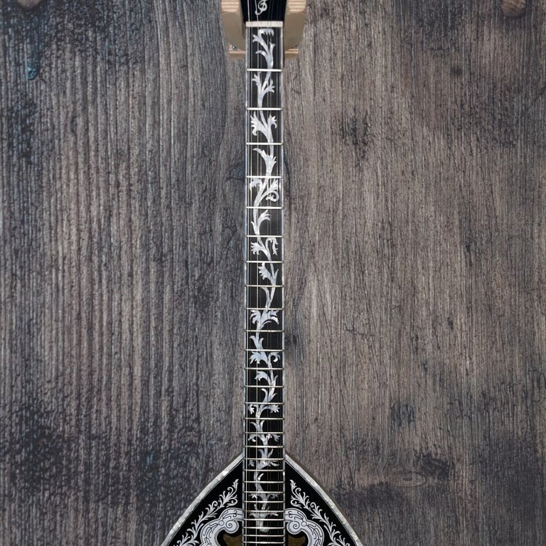 Banjo with ornate black headstock and decorative inlay on fretboard, photographed from above on wooden surface