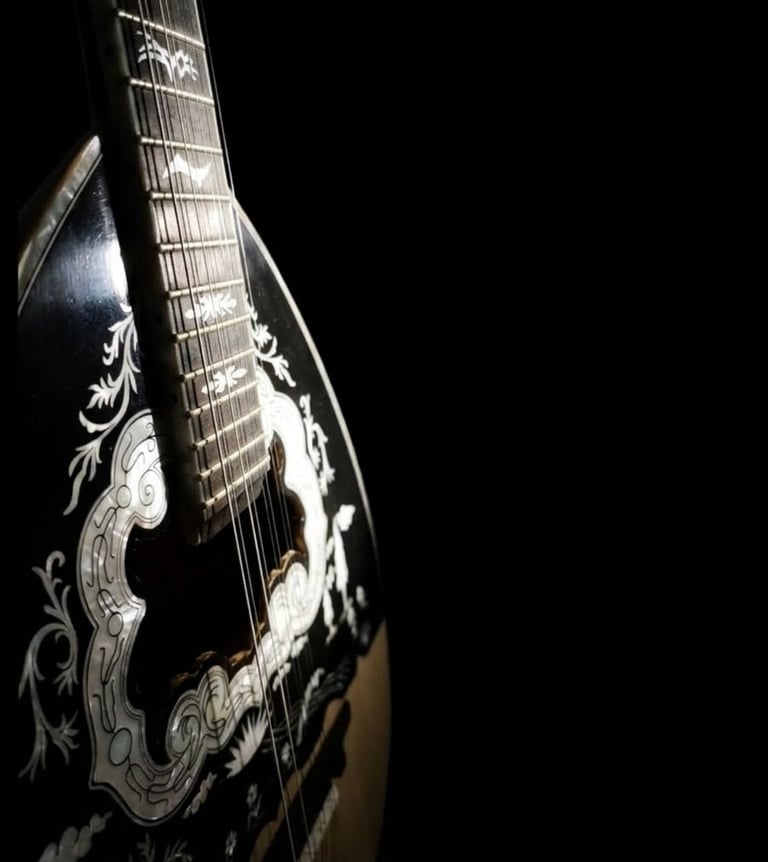Black acoustic guitar with ornate white inlay designs on body and neck against dark background