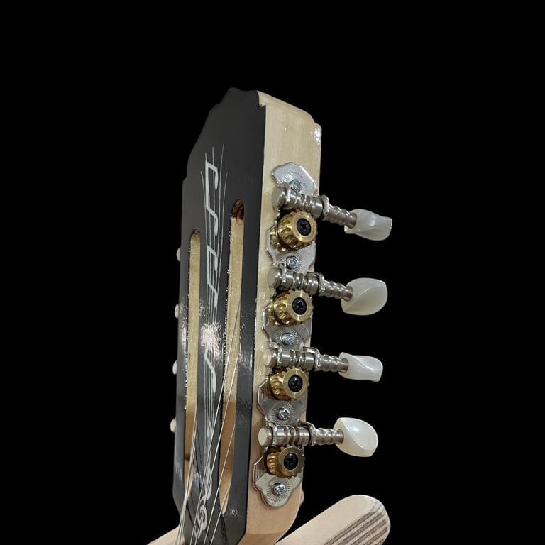 Close-up of acoustic guitar headstock showing four chrome and gold tuning pegs with white buttons against black background
