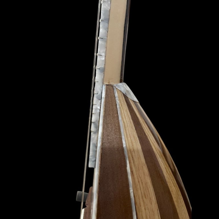 Side profile of acoustic guitar showing wooden body and metal tuning hardware against black background