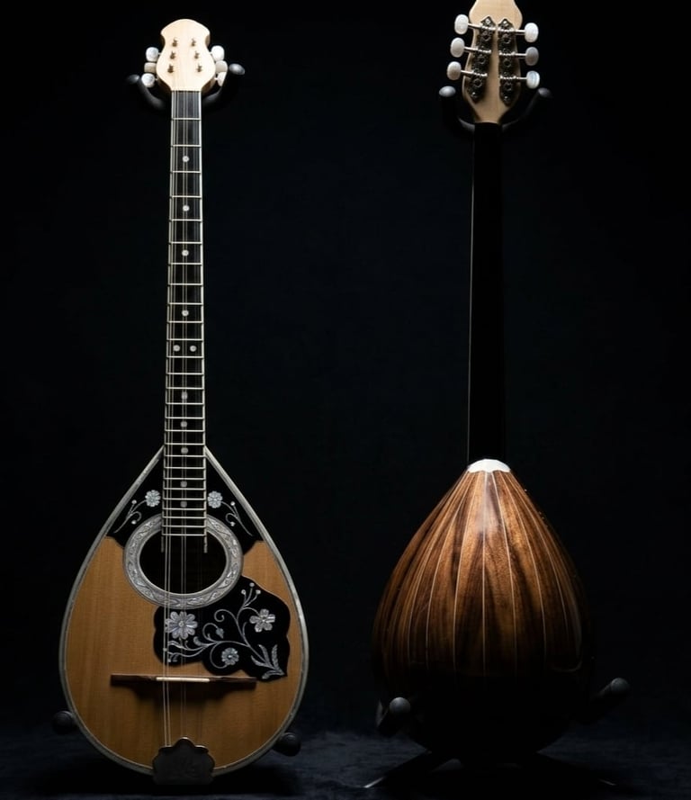 Mandolin guitar with front and back views showing wooden body, decorative pickguard, and headstock against black background
