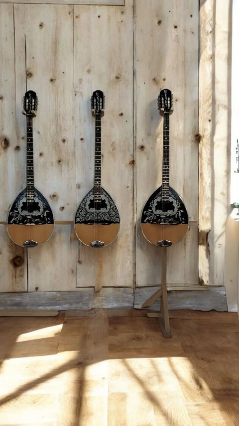 Three ornate mandolins with decorative black headstocks and wooden bodies hanging on a light wooden wall in sunlight.